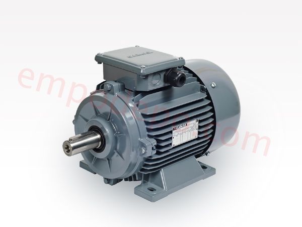 0.37 kw 1000 d/d Trifaze Elektrik Motoru