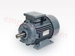 0.55 kw 1000 d/d Trifaze Elektrk Motoru
