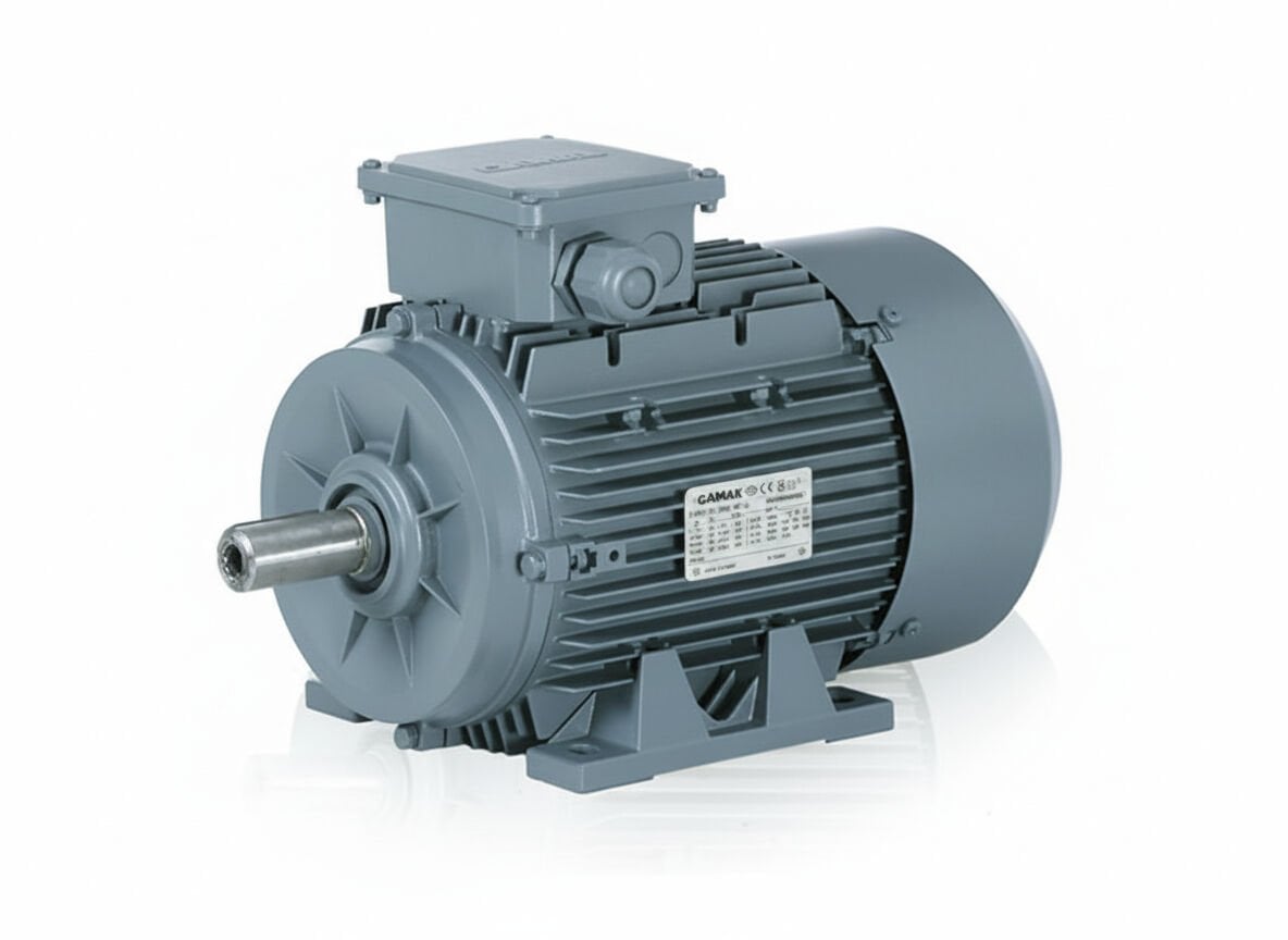 3 kw (4 Hp) 3000 d/d IE3 Trifaze Elektrik Motoru