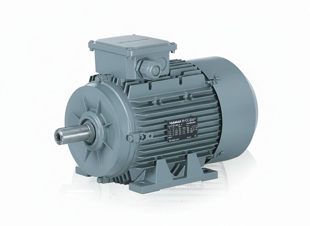 7.5 kW (10 Hp) 3000 d/d IE3 Trifaze Elektrik Motoru