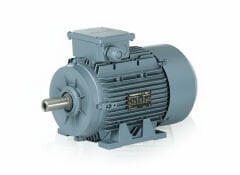 11 kW (15 Hp) 3000 d/d IE3 Trifaze Elektrik Motoru
