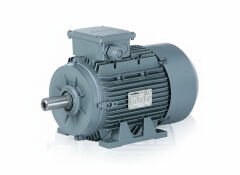 15 kW (20 Hp) 3000 d/d IE3 Trifaze Elektrik Motoru