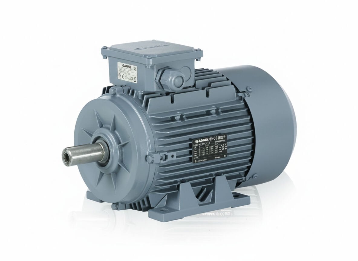 22 kW (30 Hp) 3000 d/d IE3 Trifaze Elekrik Motoru