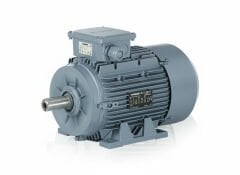 22 kW (30 Hp) 3000 d/d IE3 Trifaze Elekrik Motoru