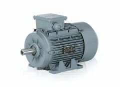 30 kW (40 Hp) 3000 d/d IE3 Trifaze Elektrik Motoru