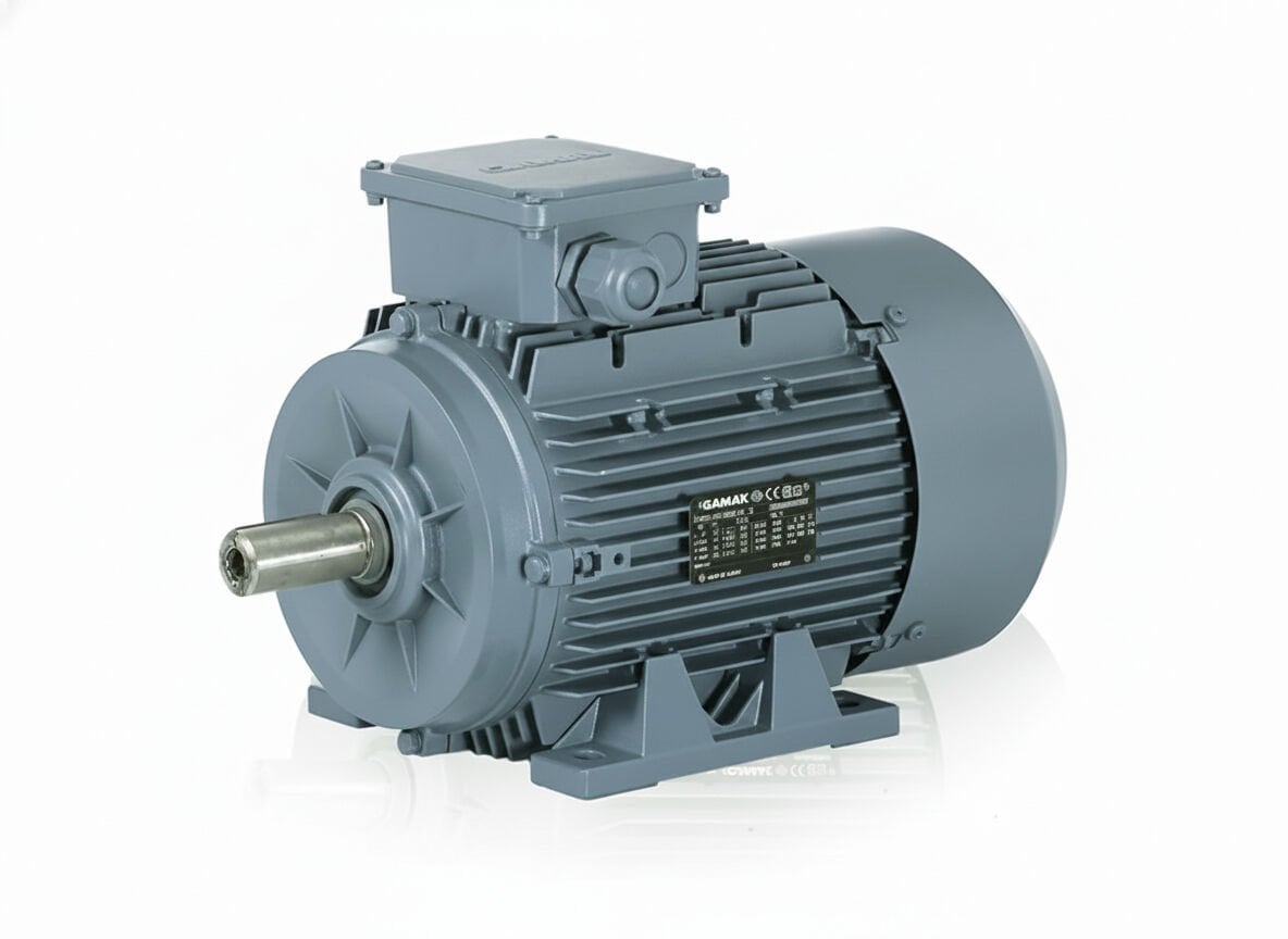 37 kW (50 Hp) 3000  d/d IE3 Trifaze Elektrik Motoru