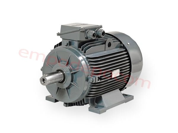 45 kW (60 Hp) 3000 d/d IE3 Trifaze Elektrik Motoru