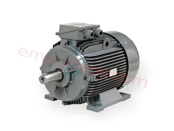 45 kW (60 Hp) 3000 d/d IE3 Trifaze Elektrik Motoru
