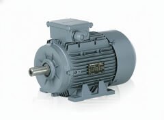 0.75 kW /1 Hp) 1500 d/d IE3  Asenkron Trifaze Elektrik Motoru