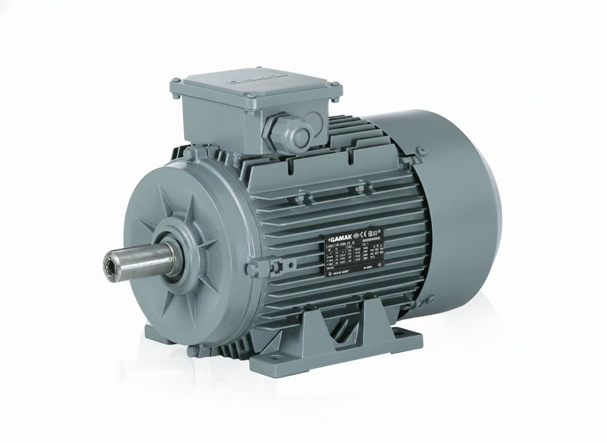 1.5 kW (2 Hp) 1500 d/d IE3 Trifaze Elektrik Motoru