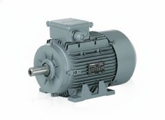1.5 kW (2 Hp) 1500 d/d IE3 Trifaze Elektrik Motoru