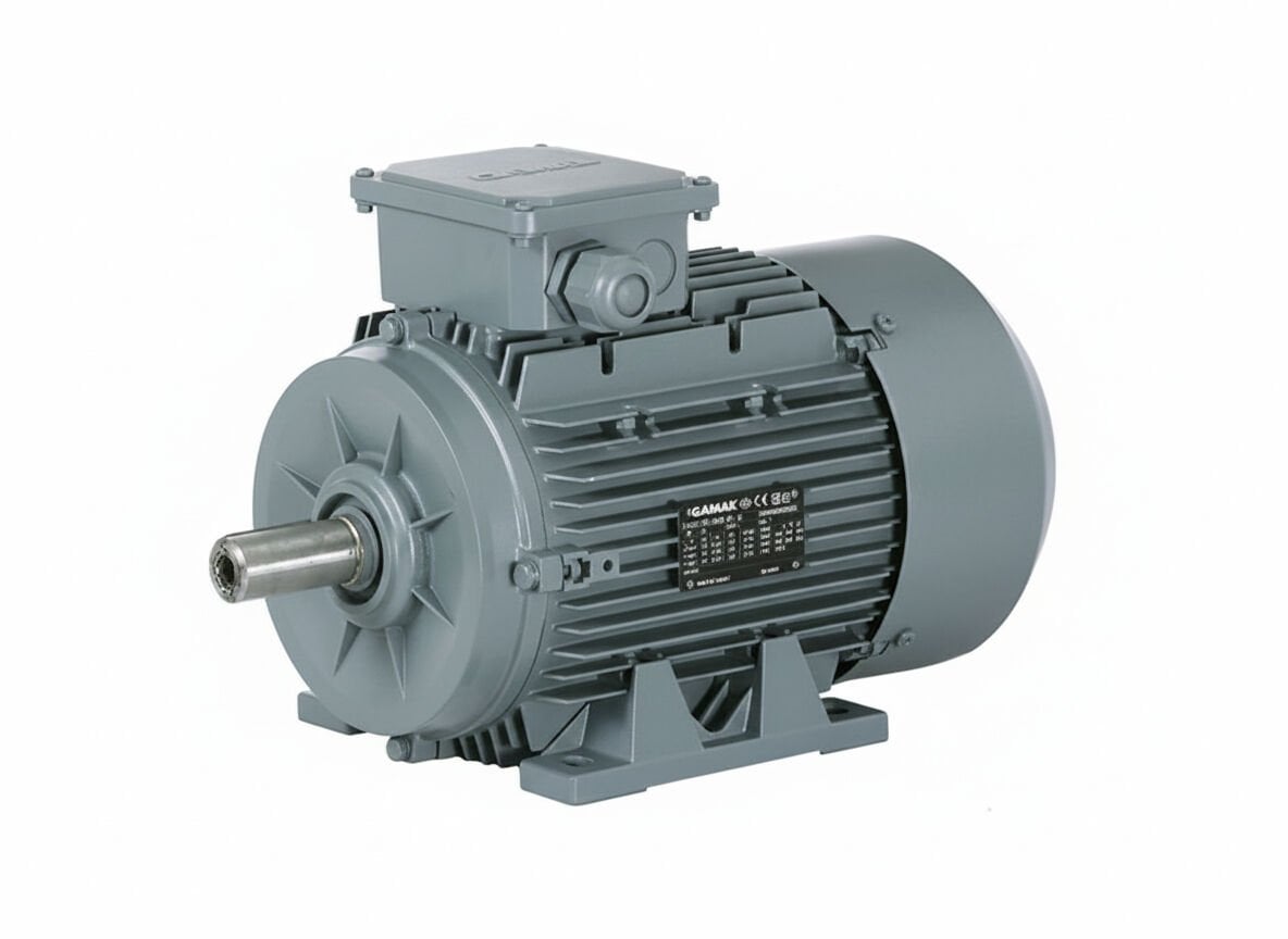 18.5 kW (25 Hp) 3000 d/d IE3 Trifaze Elektrik Motoru