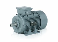 11 kW (15 Hp) 1500 d/d IE3 Trifaze Elektrik Motoru