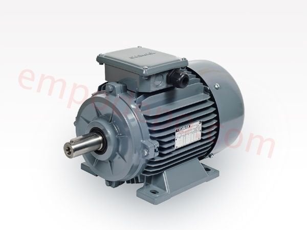 22 kw (30 Hp) 1000 d/d IE3 Trifaze Elektrik Motoru